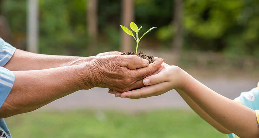 Magíster en Medio Ambiente realizará su II Ciclo de "Webinars por la Sustentabilidad"