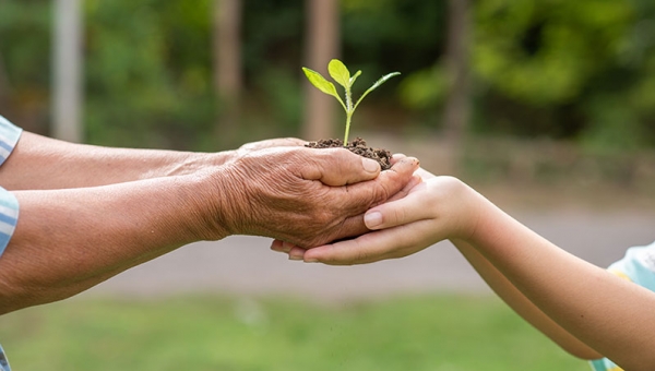 Magíster en Medio Ambiente realizará su II Ciclo de "Webinars por la Sustentabilidad"
