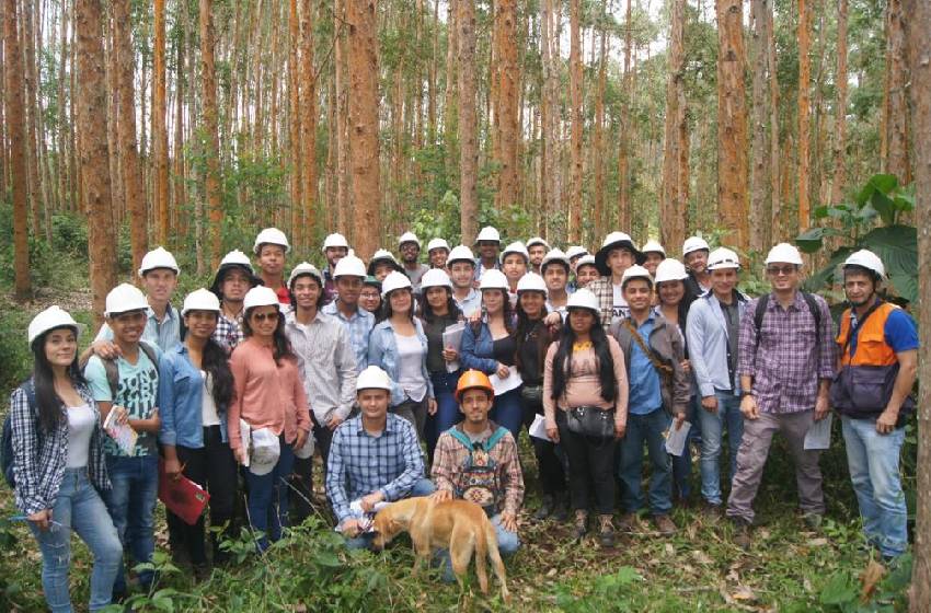 Ingeniería Forestal firma alianza con la U. del Cauca para potenciar intercambios e investigaciones conjuntas