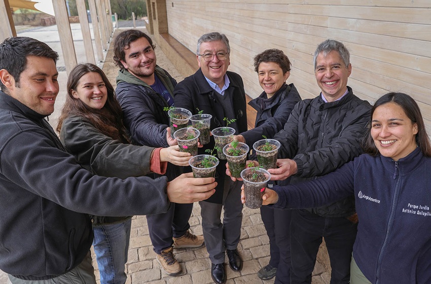 Estudiante U. Mayor contribuye a la conservación del toromiro