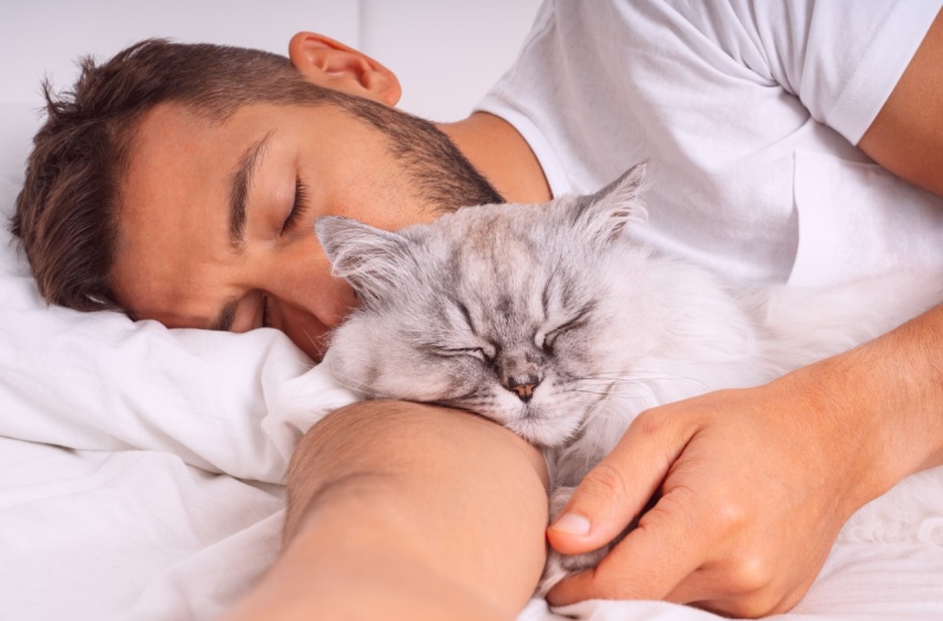 ¿Es recomendable dormir con mascotas? Experta en medicina del comportamiento entrega algunas claves